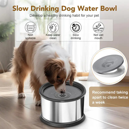 Large Stainless Pet Water Bowl