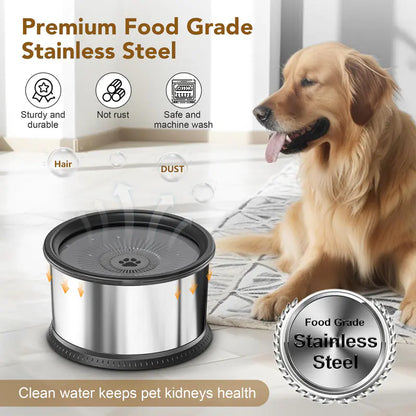 Large Stainless Pet Water Bowl